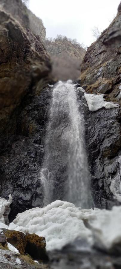 بيت ضيافة أنانو كازباجي المظهر الخارجي الصورة